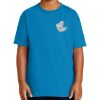 Youth Ultra Cotton ® 100% US Cotton T Shirt Thumbnail