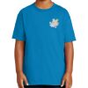 Youth Ultra Cotton ® 100% US Cotton T Shirt Thumbnail