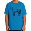 Youth Ultra Cotton ® 100% US Cotton T Shirt Thumbnail